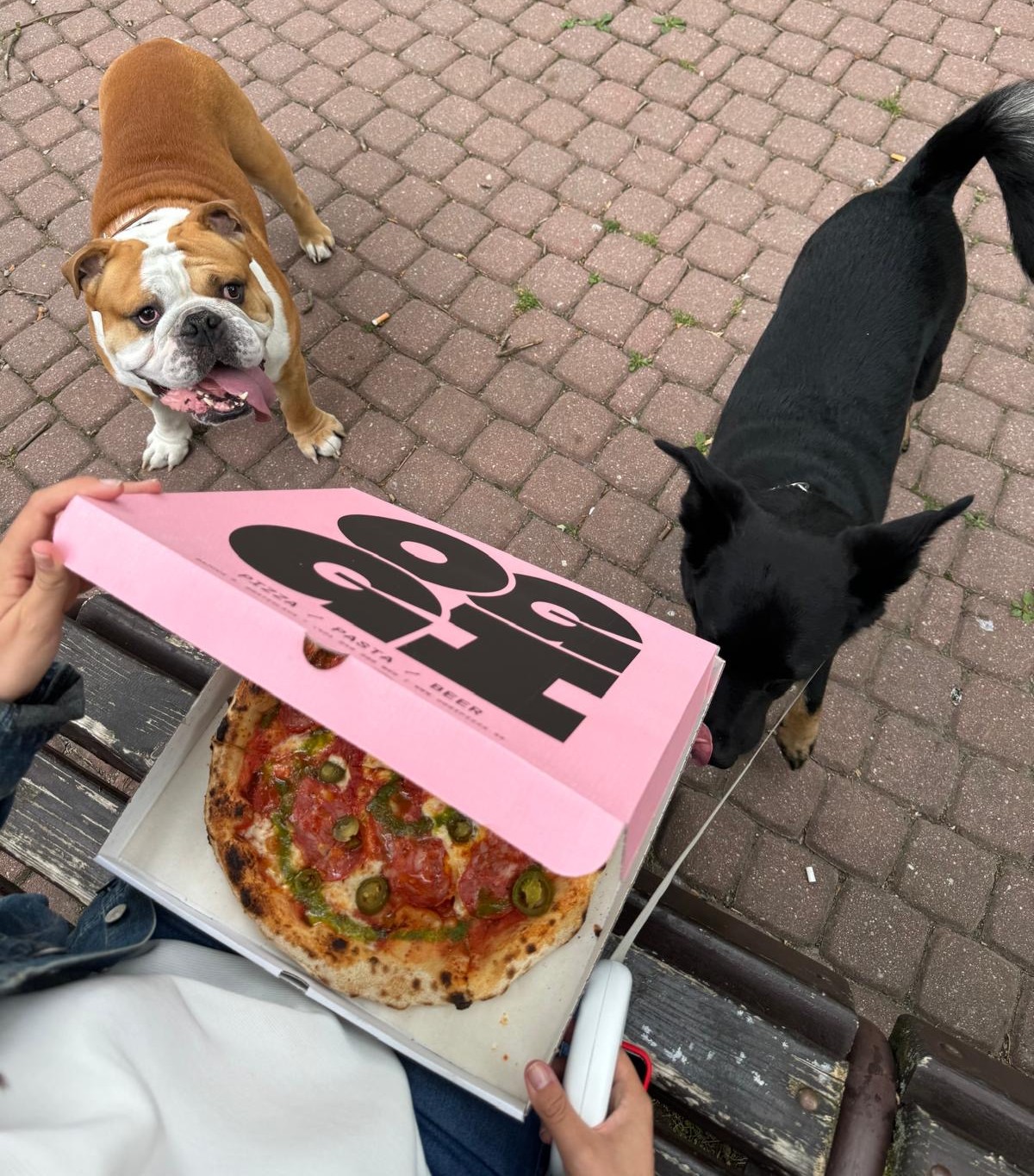 oggi bratislava pizza